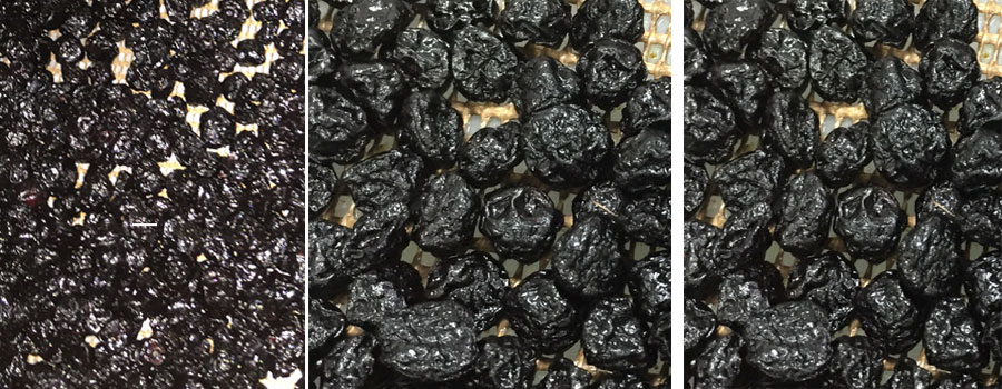 微波真空低溫干燥膨化的藍莓干