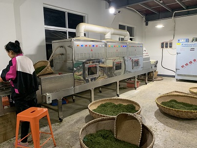 微波殺青烘干提香機